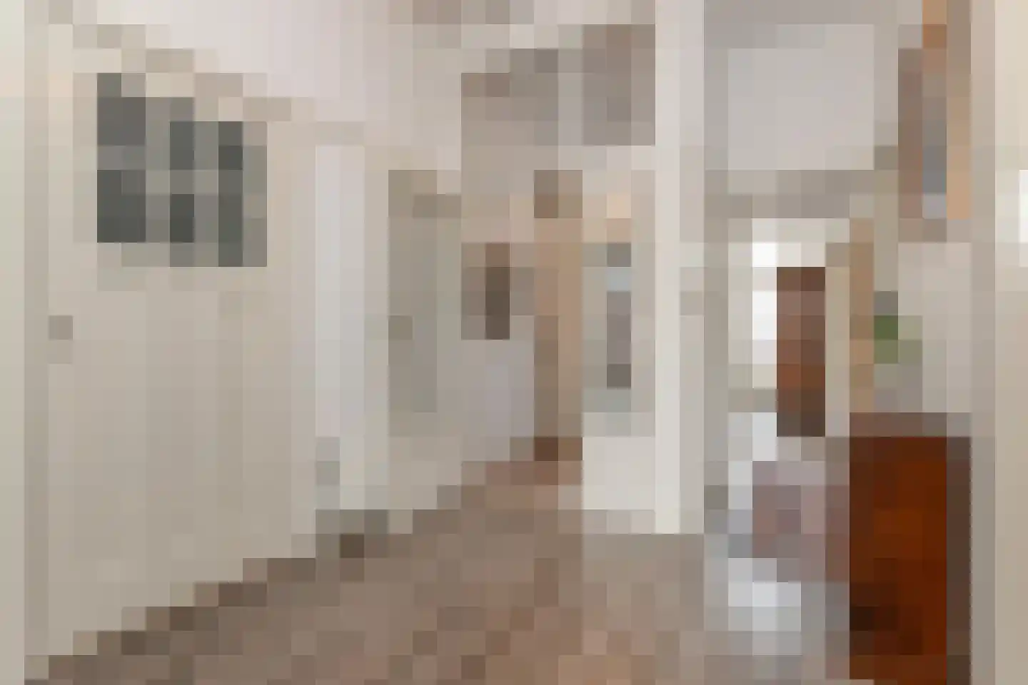 Sneeuwbalstraat 72 Den Haag thumbnail 4