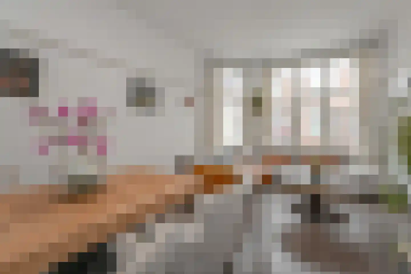 Sneeuwbalstraat 72 Den Haag thumbnail 7