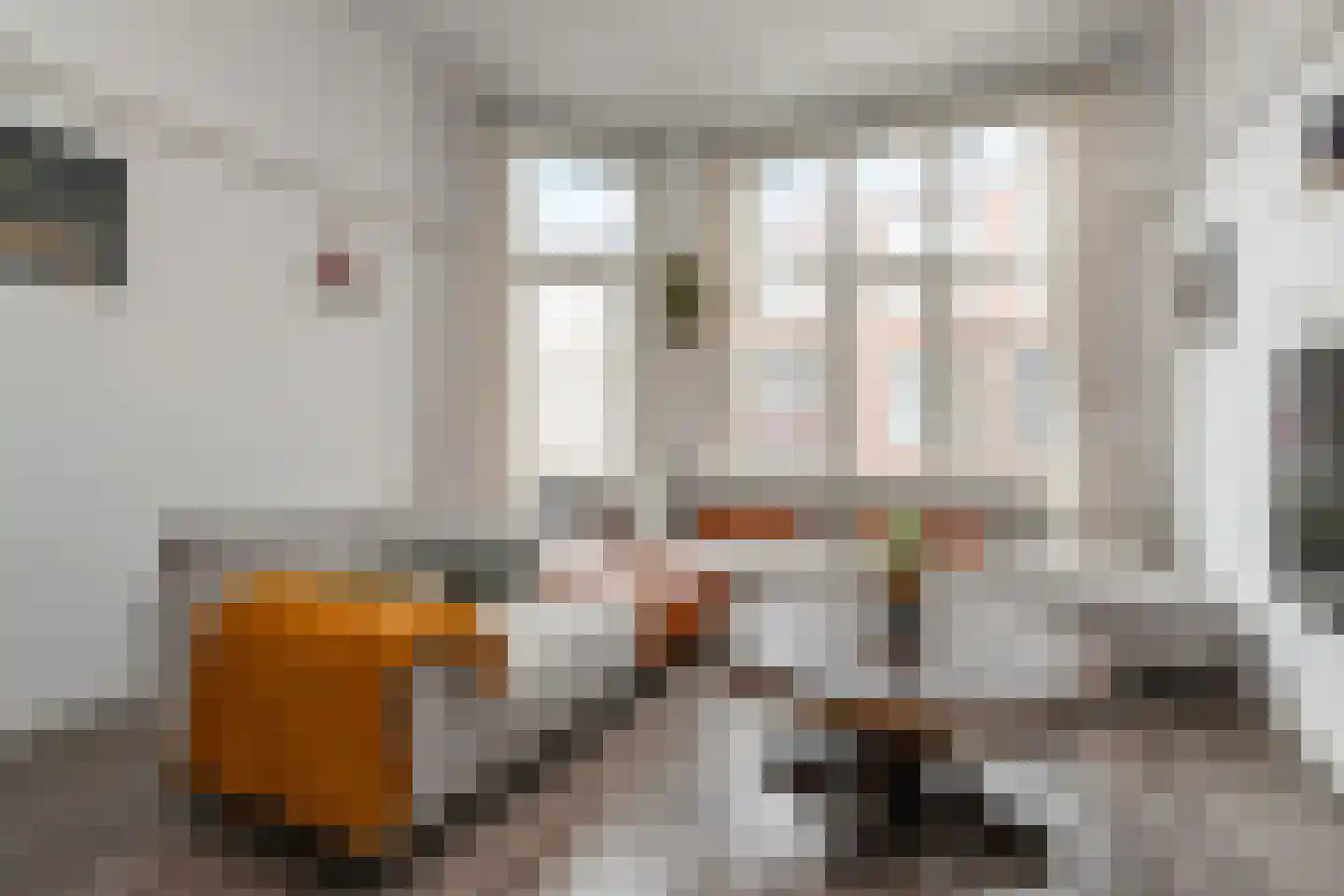 Sneeuwbalstraat 72 Den Haag thumbnail 8