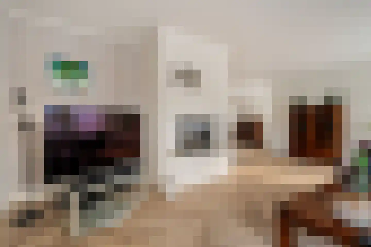 Sneeuwbesstraat 11 Musselkanaal thumbnail 17