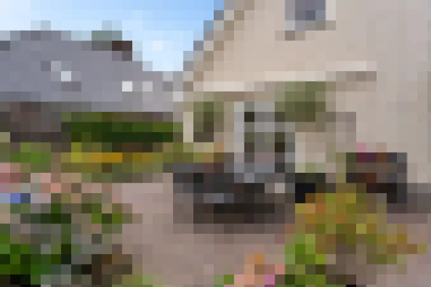 Sneeuwbesstraat 11 Musselkanaal thumbnail 50