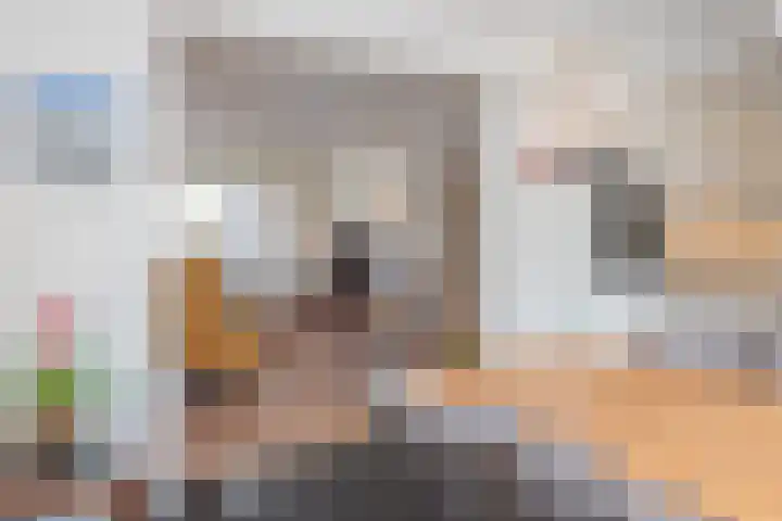 Sneeuwbesstraat 24 Wezep thumbnail 13