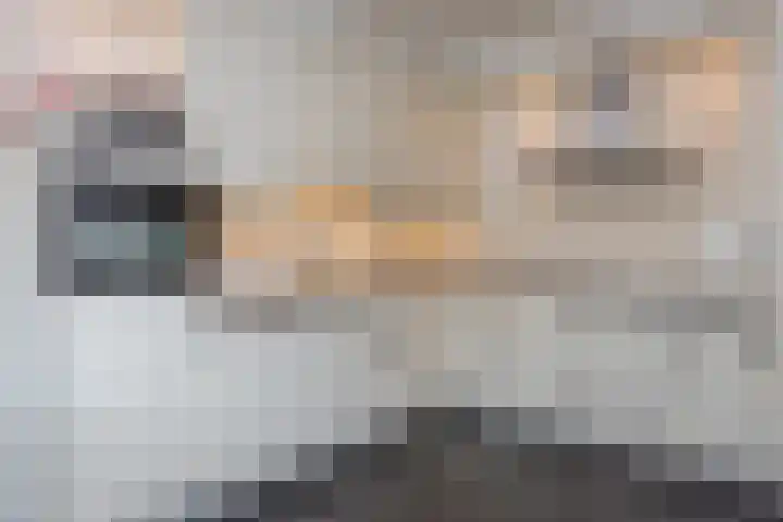 Sneeuwbesstraat 24 Wezep thumbnail 15