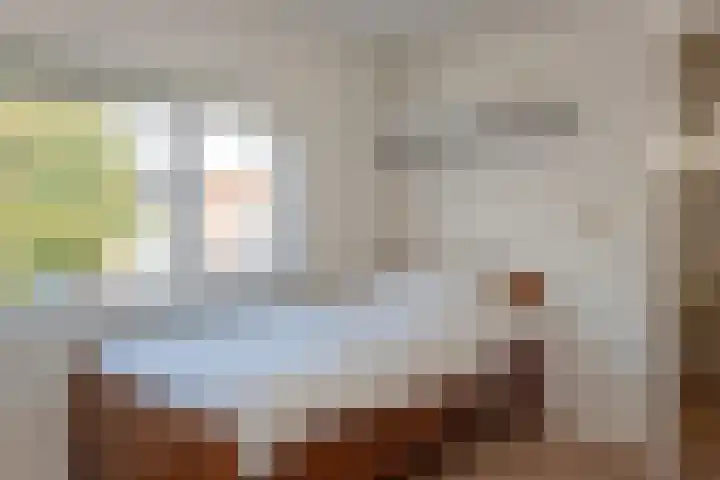 Sneeuwbesstraat 24 Wezep thumbnail 21