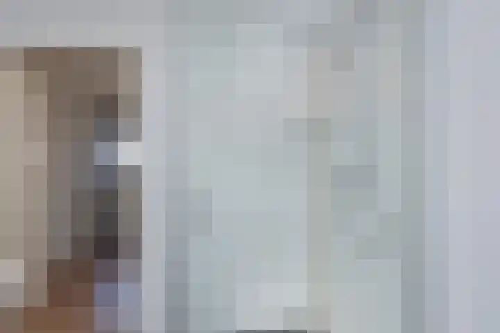 Sneeuwbesstraat 24 Wezep thumbnail 26