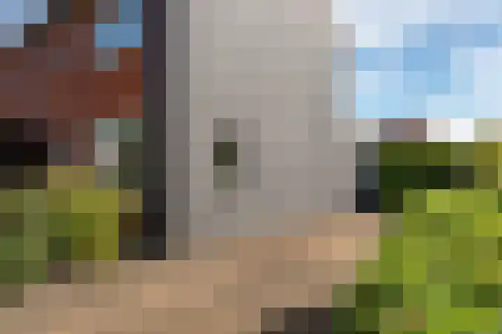 Sneeuwbesstraat 24 Wezep thumbnail 34
