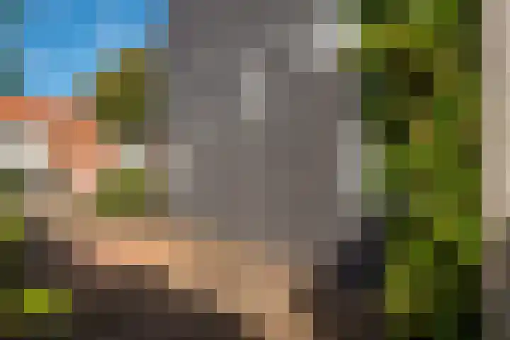 Sneeuwbesstraat 24 Wezep thumbnail 35