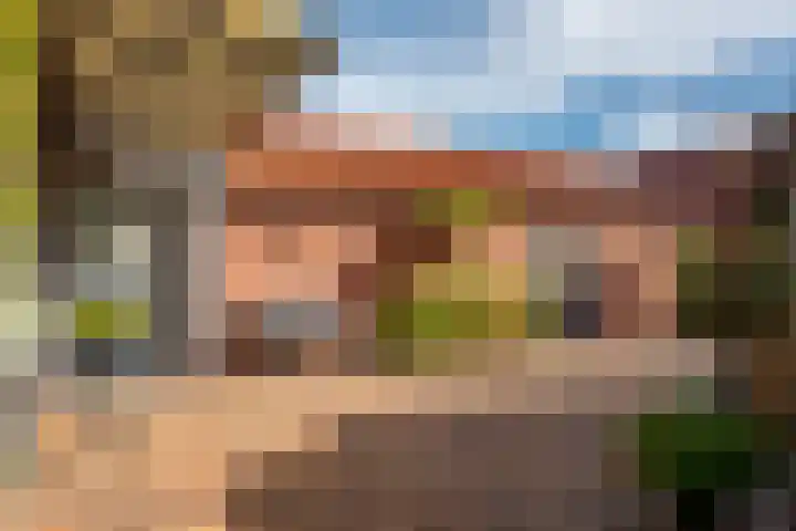 Sneeuwbesstraat 24 Wezep thumbnail 36