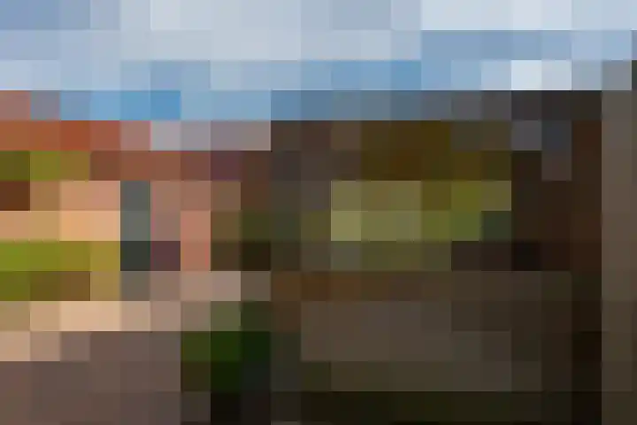 Sneeuwbesstraat 24 Wezep thumbnail 37