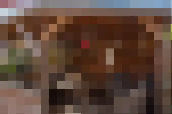 Sneeuwbesstraat 24 Wezep thumbnail 38