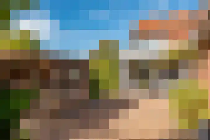 Sneeuwbesstraat 24 Wezep thumbnail 39