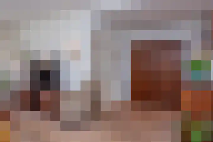 Sneeuwbesstraat 24 Wezep thumbnail 6