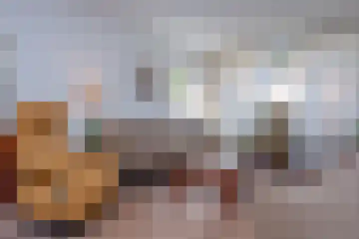 Sneeuwbesstraat 24 Wezep thumbnail 8
