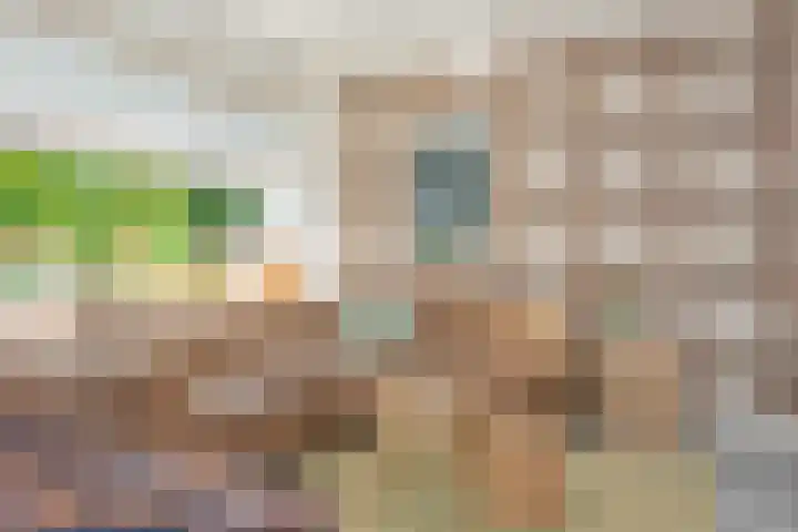 Sneeuwbesstraat 29 Wezep thumbnail 11