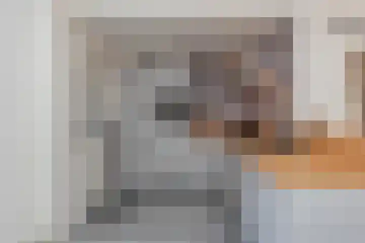 Sneeuwbesstraat 29 Wezep thumbnail 15