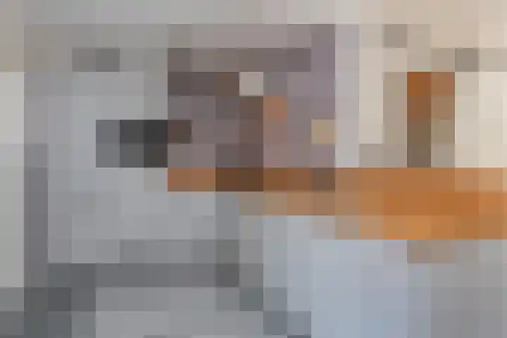 Sneeuwbesstraat 29 Wezep thumbnail 16