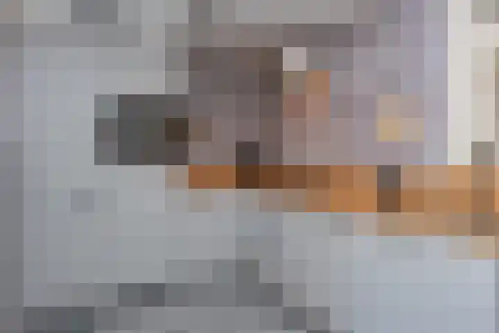 Sneeuwbesstraat 29 Wezep thumbnail 17