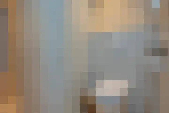 Sneeuwbesstraat 29 Wezep thumbnail 23