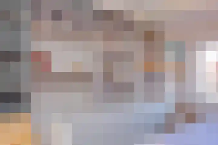 Sneeuwbesstraat 29 Wezep thumbnail 32