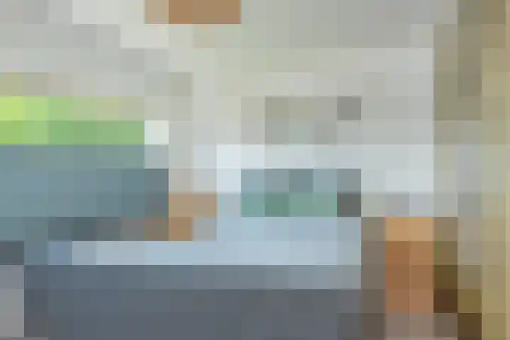 Sneeuwbesstraat 29 Wezep thumbnail 38
