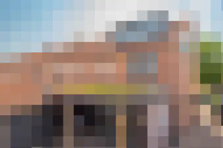 Sneeuwbesstraat 29 Wezep thumbnail 47