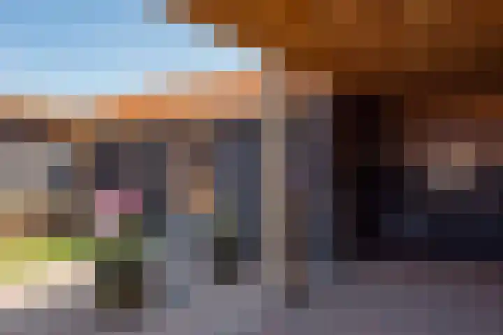 Sneeuwbesstraat 29 Wezep thumbnail 49