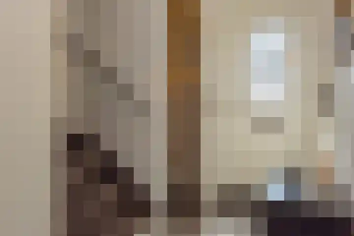 Sneeuwbesstraat 29 Wezep thumbnail 5