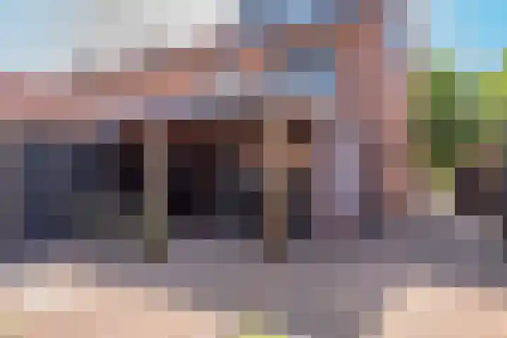 Sneeuwbesstraat 29 Wezep thumbnail 51