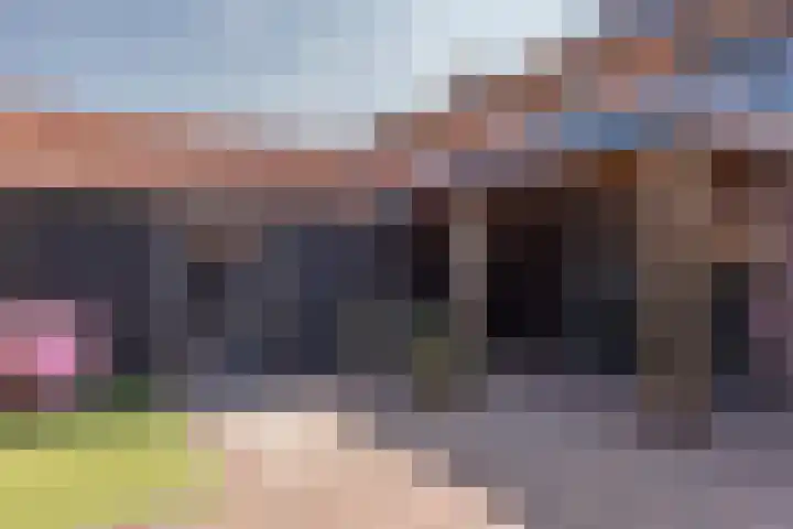 Sneeuwbesstraat 29 Wezep thumbnail 52