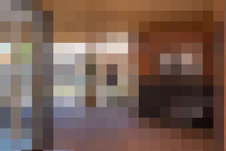 Sneeuwbesstraat 29 Wezep thumbnail 55