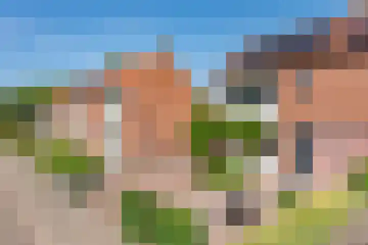 Sneeuwbesstraat 29 Wezep thumbnail 64