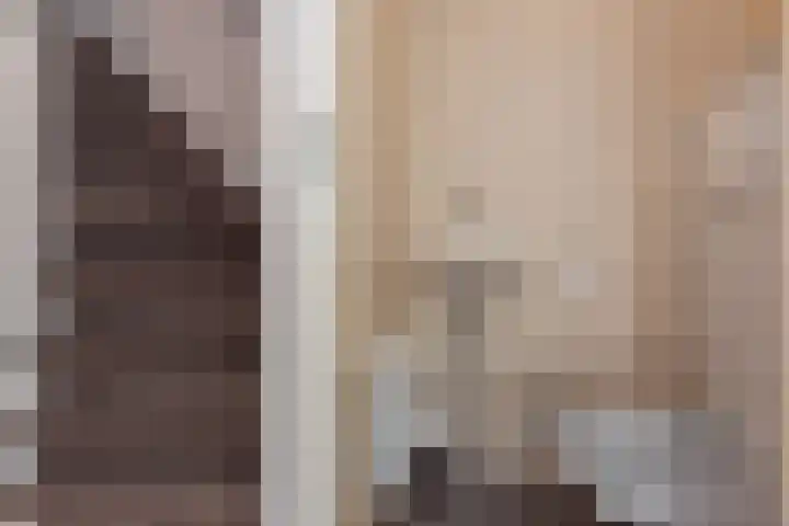 Sneeuwbesstraat 29 Wezep thumbnail 7