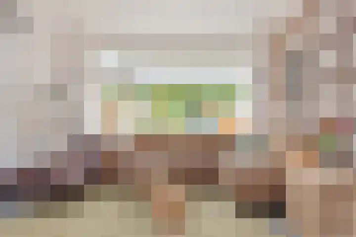Sneeuwbesstraat 29 Wezep thumbnail 9