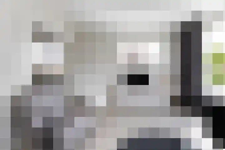 Sneeuwbesstraat 9 Wezep thumbnail 13