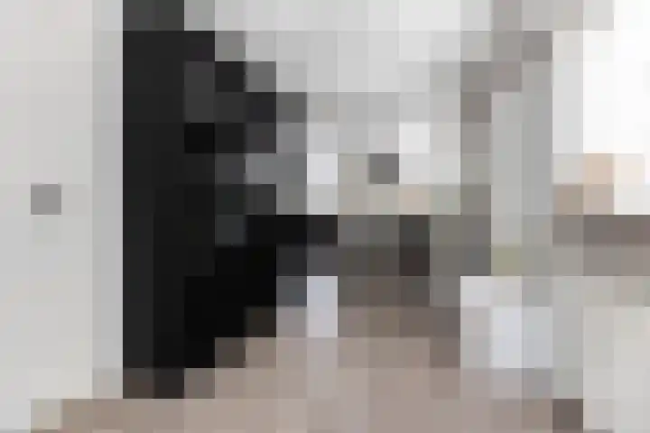 Sneeuwbesstraat 9 Wezep thumbnail 14