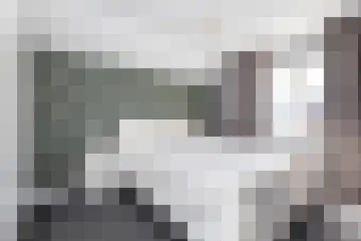 Sneeuwbesstraat 9 Wezep thumbnail 22