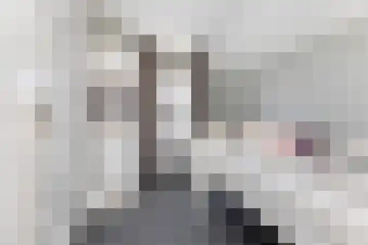 Sneeuwbesstraat 9 Wezep thumbnail 23