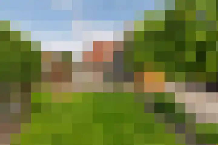 Sneeuwbesstraat 9 Wezep thumbnail 33