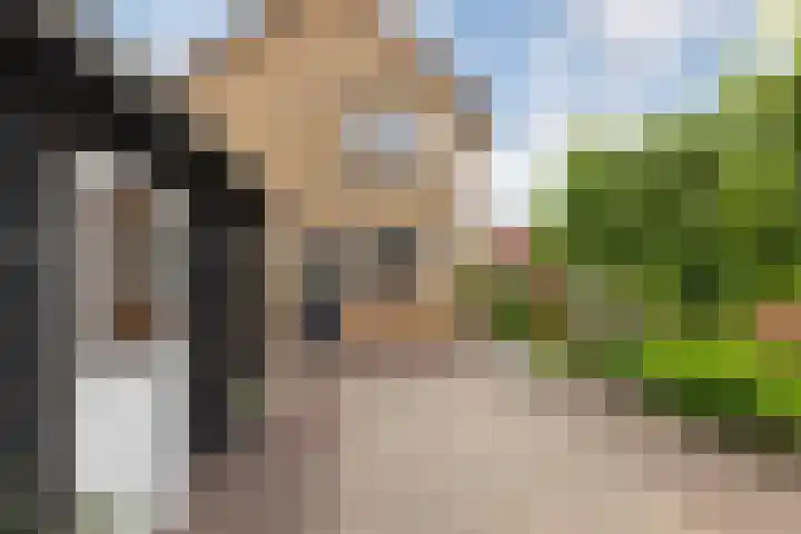 Sneeuwbesstraat 9 Wezep thumbnail 35
