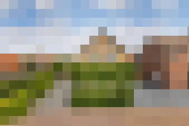Sneeuwbesstraat 9 Wezep thumbnail 36