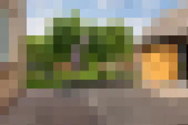 Sneeuwbesstraat 9 Wezep thumbnail 4