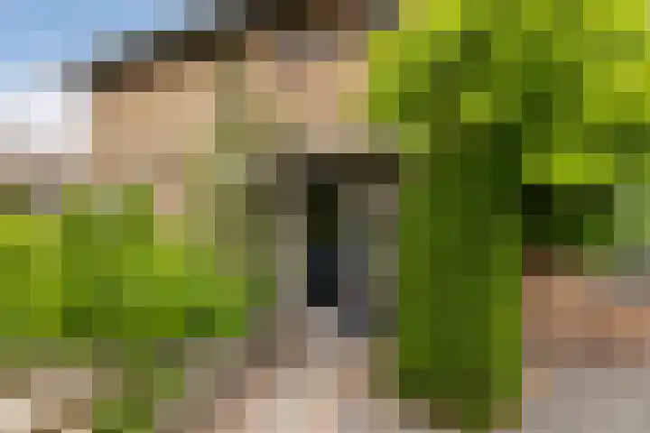 Sneeuwbesstraat 9 Wezep thumbnail 6