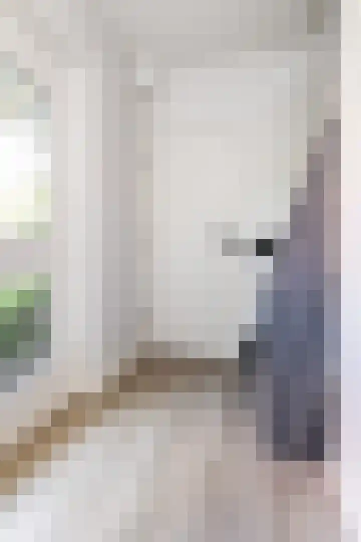 Sneeuwbesstraat 9 Wezep thumbnail 8