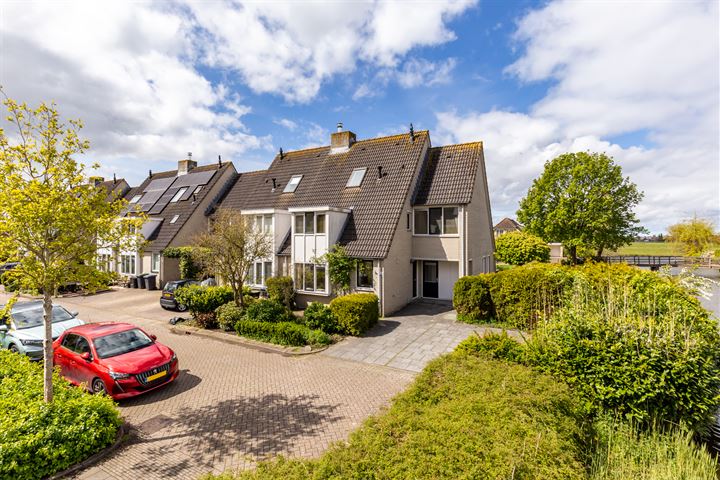 Sneeuwgans 24 in Uithoorn foto