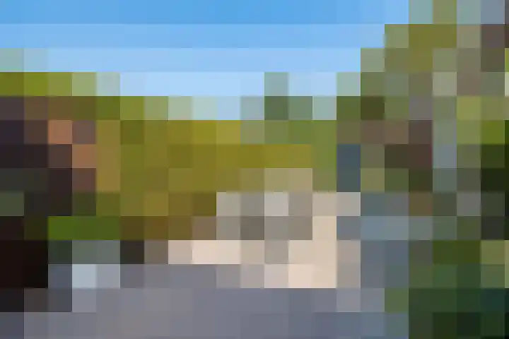 Sneeuwgans 7 Nieuwegein thumbnail 10