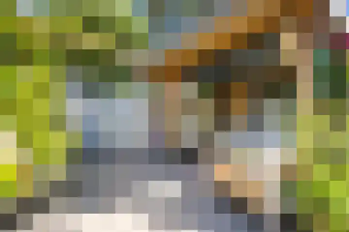 Sneeuwgans 7 Nieuwegein thumbnail 11