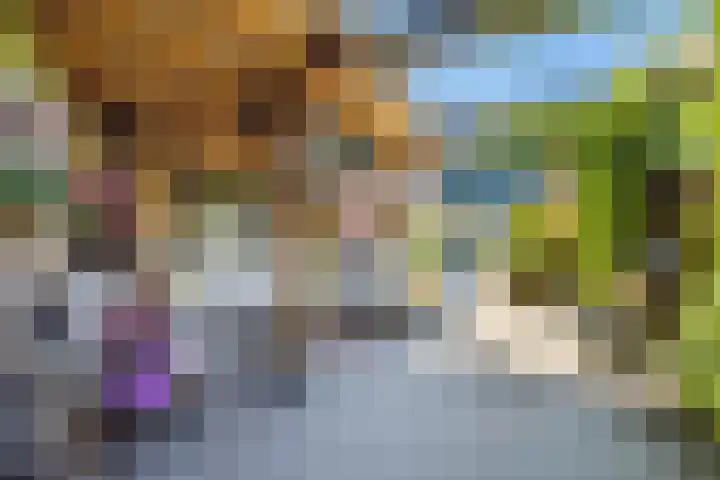 Sneeuwgans 7 Nieuwegein thumbnail 12