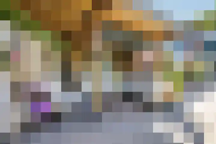 Sneeuwgans 7 Nieuwegein thumbnail 13