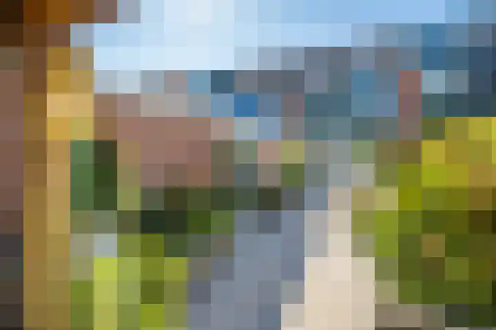 Sneeuwgans 7 Nieuwegein thumbnail 14