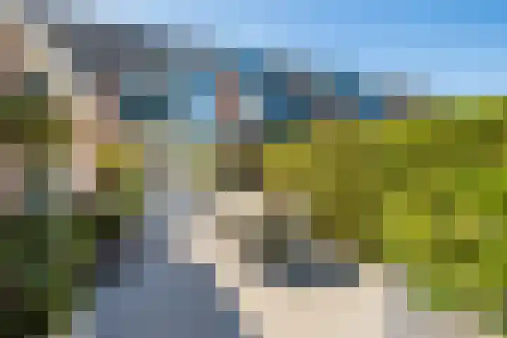 Sneeuwgans 7 Nieuwegein thumbnail 15